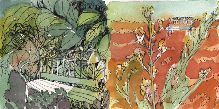 watercolour and ink drawing of bench in vegetation